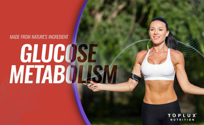 Cinnamon, Bitter Melon, and More: Best Natural Ingredients for Glucose Support