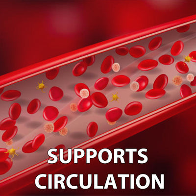 Ceylon Cinnamon vs. Cassia Cinnamon: What’s Better for Blood Sugar?